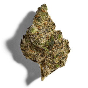 4-NEW-premium-flower